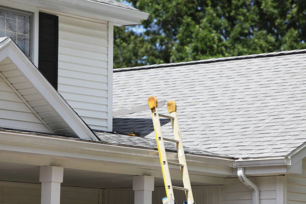 Professional Siding in Diamond Ridge, AK